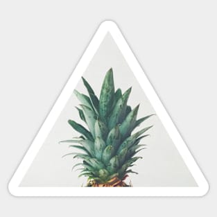 Pineapple Top Sticker